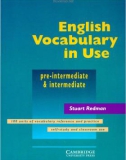 English Vocabulary In Use - Intermediate