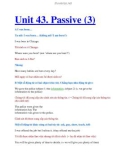 Unit 43. Passive (3)