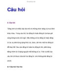 Câu hỏi 8. Câu hỏi