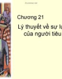 Chương 21: Lý thuyết về sự lựa chọn của người tiêu dùng