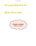 Từ vựng tiếng Anh về động vật tự nhiên