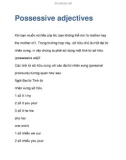 Possessive adjectives