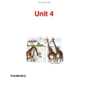 Unit 4 Vocabulary