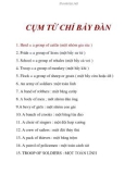 CỤM TỪ CHỈ BẦY ĐÀN