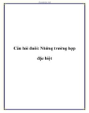 Câu hỏi đuôi: Những trường hợp đặc biệt