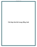 Các loại câu hỏi trong tiếng Anh.