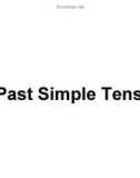 Past Simple Tense