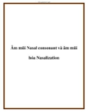 Tài liệu về Âm mũi Nasal consonant và âm mũi hóa Nasalization