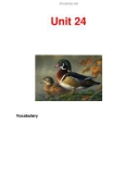 Unit 24 Vocabulary