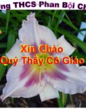 Giáo án tiếng anh lớp 6 - UNIT 11: WHAT DO YOU EAT? Period 66 Lesson 1: A1 - Trường THCS Phan Bội Châu