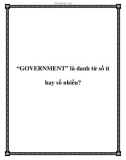 'GOVERNMENT' là danh từ số ít hay số nhiều?