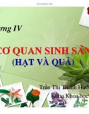 Bài giảng Thực vật và phân loại thực vật - Chương 4: Cơ quan sinh sản (Hạt và quả)