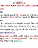 CHƯƠNG 3 HỆ THẦN KINH VÀ CÁC GIÁC QUAN