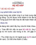 CHƯƠNG 6 HỆ HÔ HẤP