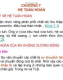 CHƯƠNG 7 HỆ TUẦN HOÀN