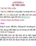 Bài giảng CHƯƠNG 5 HỆ TIÊU HÓA