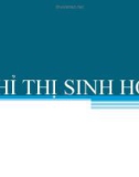 Bài giảng Chỉ thị sinh học