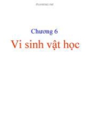 Bài giảng Sinh học đại cương: Chương 6 - Nguyễn Thị Diệu Hạnh