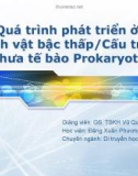 Bài giảng Quá trình phát triển ở sinh vật bậc thấp - Cấu trúc chưa tế bào Prokaryote (GS. TSKH. Vũ Quang Mạnh)