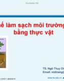 Bài giảng Cơ chế làm sạch môi trường nước bằng thực vật