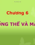 Bài giảng Lý thuyết xác suất và thống kê toán: Chương 6 - Hoàng Thị Diễm Hương