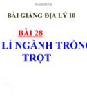 Bài giảng Địa lý 10 bài 28: Địa lý ngành trồng trọt