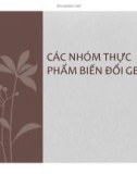 Bài giảng Xu hướng phát triển thực phẩm: Các nhóm thực phẩm biến đổi gen