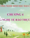 Bài giảng Công nghệ sinh học đại cương: Chương 4 - ThS. Vương Thị Thúy Hằng