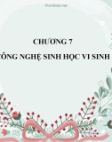 Bài giảng Công nghệ sinh học đại cương: Chương 7 - ThS. Vương Thị Thúy Hằng