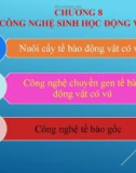 Bài giảng Công nghệ sinh học đại cương: Chương 8 - ThS. Vương Thị Thúy Hằng