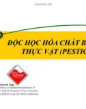 Bài giảng Độc tố học môi trường: Bài 6 - Ths.Trần thị Mai Phương