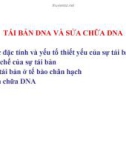 Bài giảng Di truyền học đại cương - Chương 2: Tái bản DNA và sửa chữa DNA