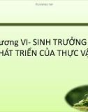 Bài giảng Sinh lý học thực vật: Chương 6 - TS. Trần Thế Hùng