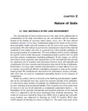 Geoenvironmental Engineering Contaminated Soils, Pollutant Fate, and Mitigation - Chapter 2