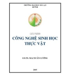 Giáo trình Công nghệ sinh học thực vật: Phần 1 - GS.TS. Mai Xuân Lương