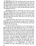 Công nghệ sinh học đối với cây trồng vật nuôi và bảo vệ môi trường - Quyển 2 part 6