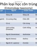 Bài giảng Chương 5: Phân loại học côn trùng