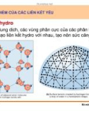 Di truyền học phân tử và tế bào : Liên kết hóa học của các đại phân tử sinh học part 5