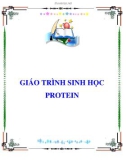 GIÁO TRÌNH SINH HỌC: PROTEIN