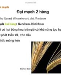 Giáo trình : Công nghệ sản xuất bia và malt part 4