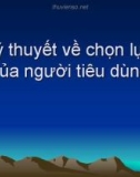 Lý thuyết về chọn lựa của người tiêu dùng