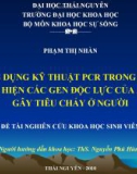 ỨNG DỤNG KỸ THUẬT PCR TRONG VIỆC PHÁT HIỆN CÁC GEN ĐỘC LỰC CỦA E.COLI GÂY TIÊU CHẢY Ở NGƯỜI