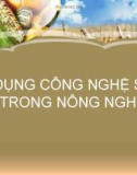 Bài giảng: Ứng dụng công nghệ sinh học trong nông nghiệp (Nguyễn Vũ Phong)