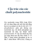 Cấu trúc của các chuỗi polynucleotide