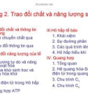 Bài giảng Sinh học đại cương - Chương 2: Trao đổi chất và năng lượng sinh học