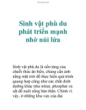 Sinh vật phù du phát triển mạnh nhờ núi lửa