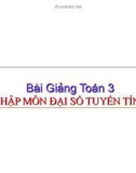 Bài giảng Toán chương 3: Nhập môn đại số tuyến tính