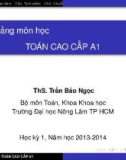 Bài giảng môn học Toán cao cấp A1 - ThS. Trần Bảo Ngọc