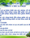 Bài giảng Xã hội học: Chương 3 - Đặng Hồng Sơn