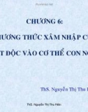 Bài giảng Độc học môi trường: Chương 6 - ThS. Nguyễn Thị Thu Hiền